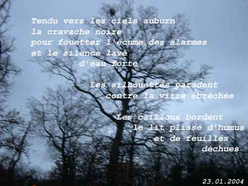 arbre