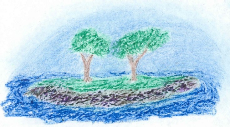 arbres