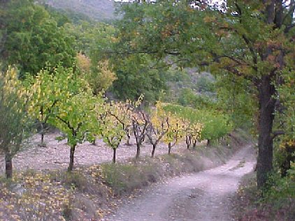 chemin