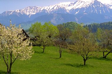 bucegi