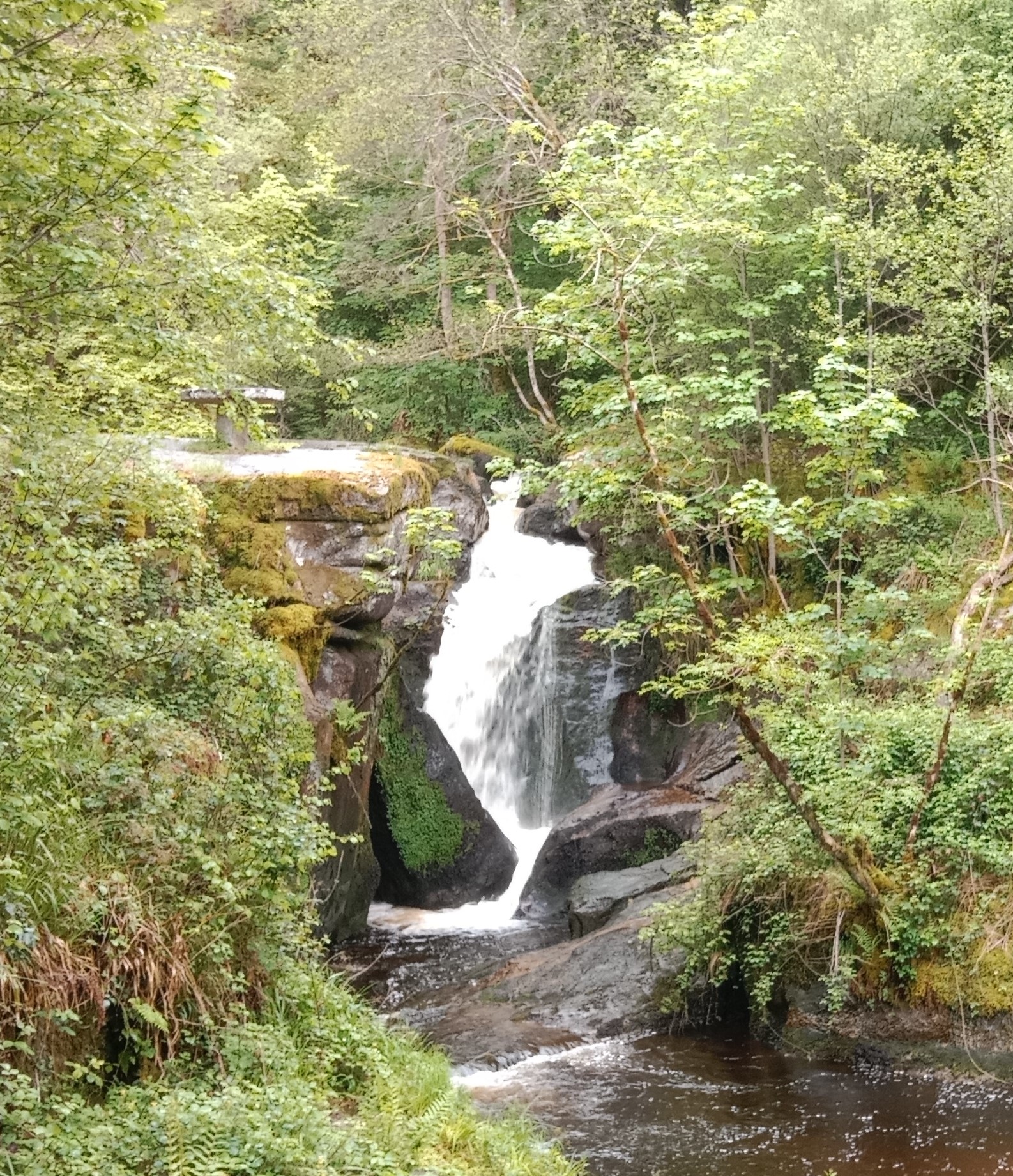Une image contenant chute d’eau, plein air, arbre, plante
Le contenu généré par l’IA peut être incorrect.