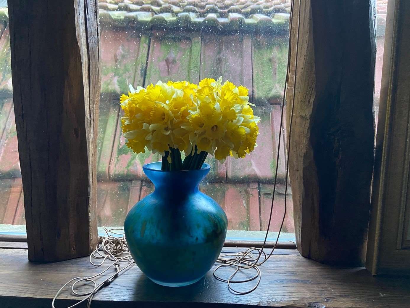 Une image contenant fenêtre, fleur, intérieur, verre
Description générée automatiquement