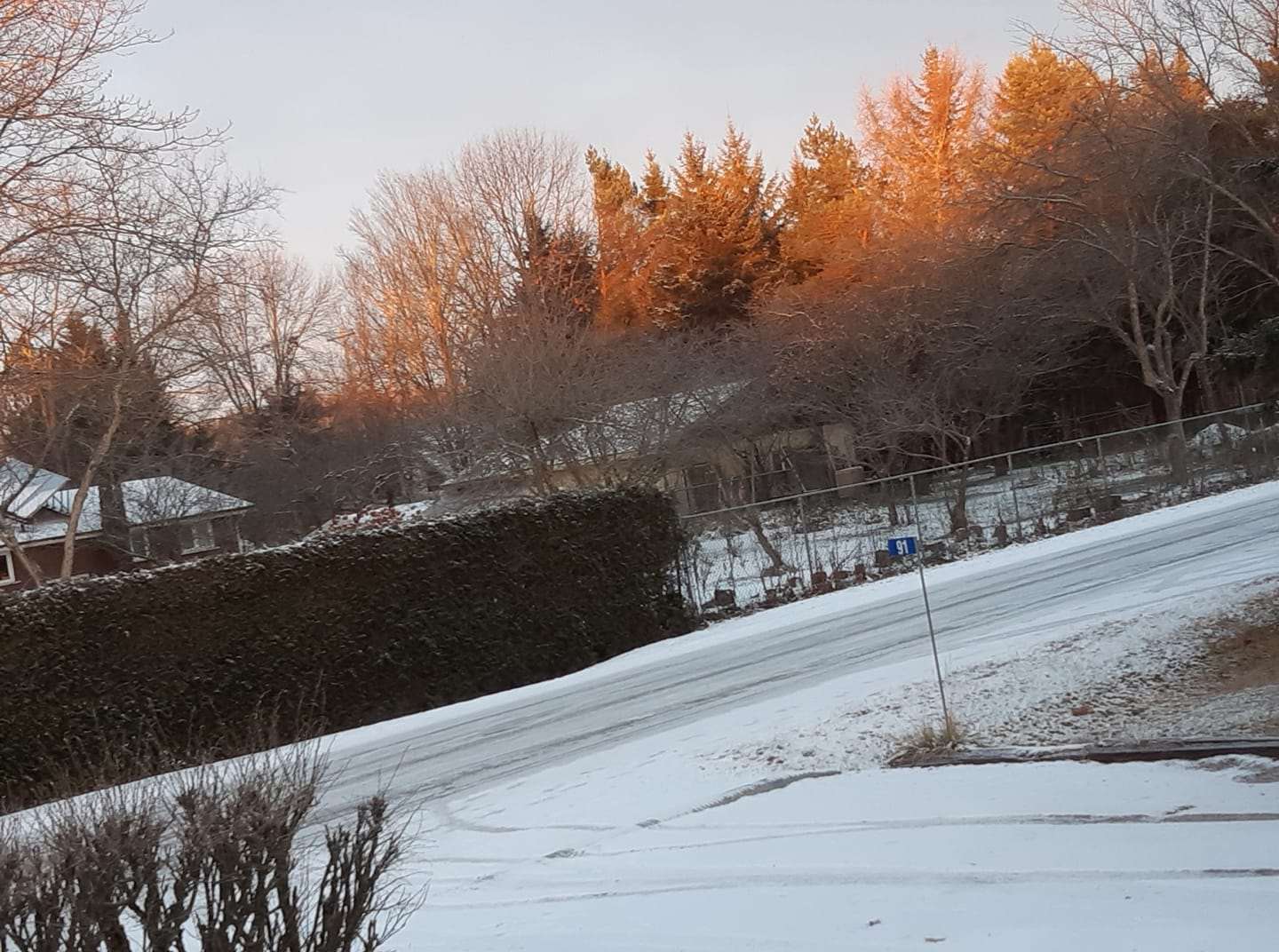 Une image contenant arbre, neige, extérieur, nature

Description générée automatiquement