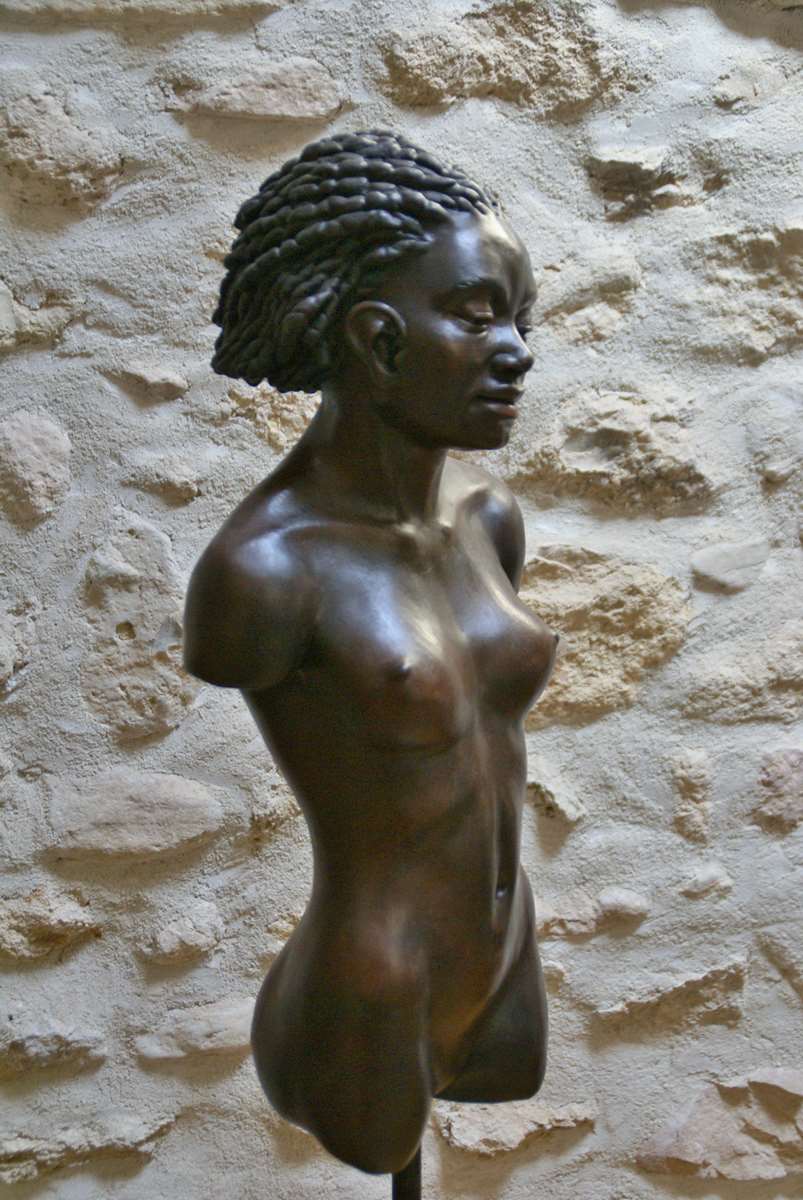 Etienne Fatras, Beauté africaine